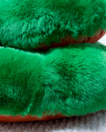 Королевская Змея