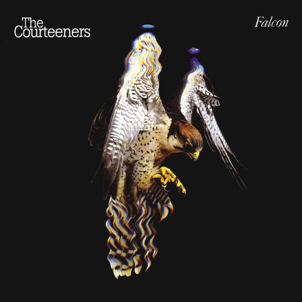 The Courteeners / Falcon (Coloured Vinyl)(LP)