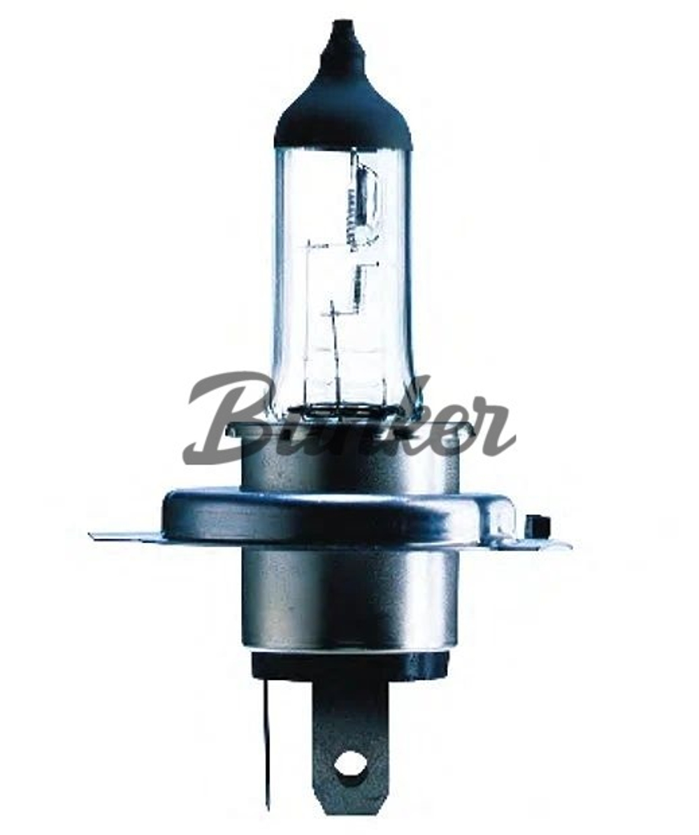 Галогенные автолампы 24v PHILIPS Master Duty Blue Vision H4 75/70W, (комп)