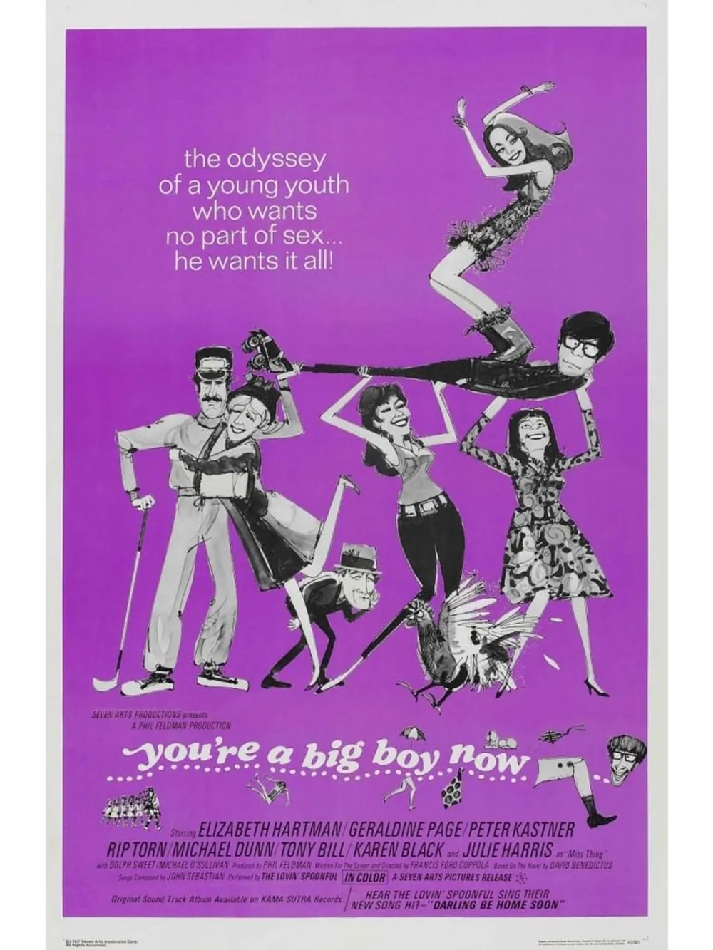 Ты теперь большой мальчик (1966) (DVD-R)