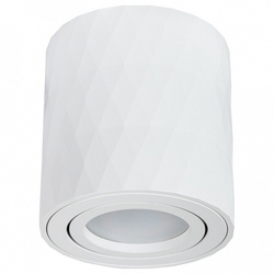 Накладной светильник Arte Lamp A5559PL-1WH