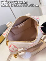 Louis Vuitton Speedy 20