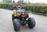 Электроквадроцикл Green Camel Атакама T320 (48V 1000W R8 Дифференциал)