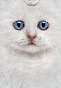 Ivory Kitten Face