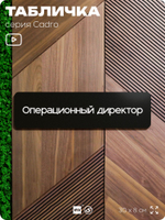 Табличка Операционный директор, на дверь, 30х8 см, черная, серия CADRO, Айдентика Технолоджи