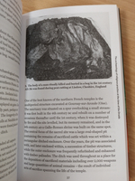 Druids: Very Short Introduction