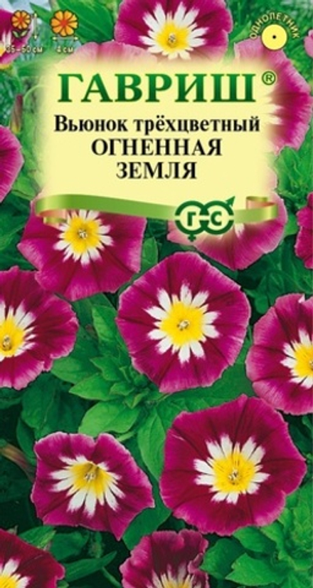 Вьюнок трехцветный Огненная земля 0,5 г (Гавриш)