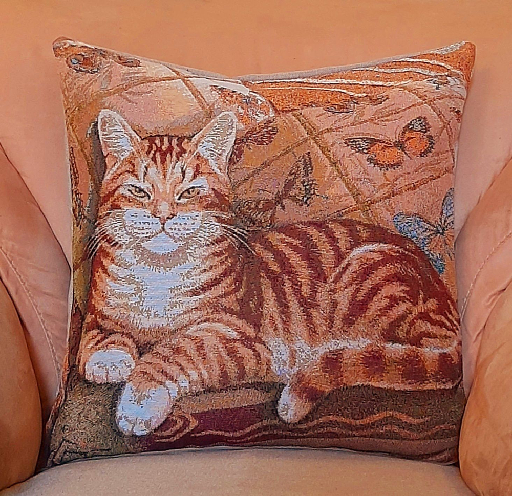 Декоративный гобеленовый чехол для интерьерной подушки Вася 47*47