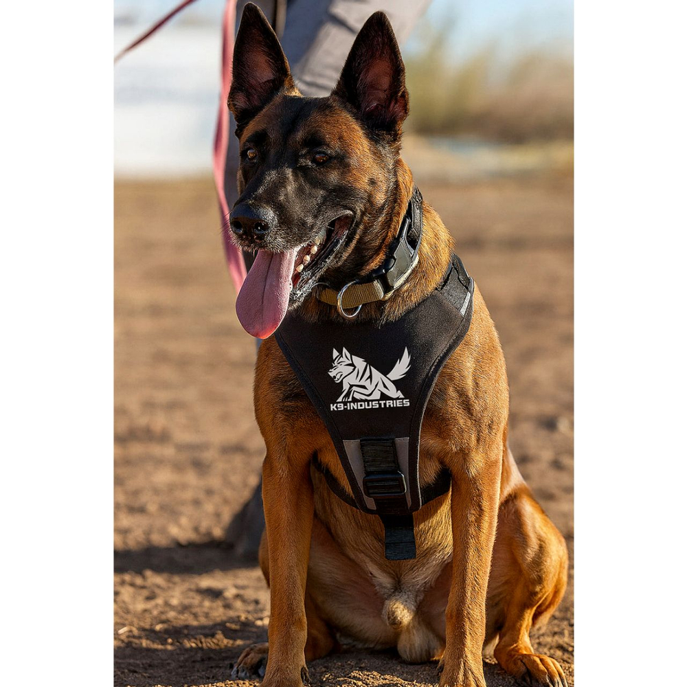 Шлейка для служебных, спортивных и активных собак K9 INDUSTRIES