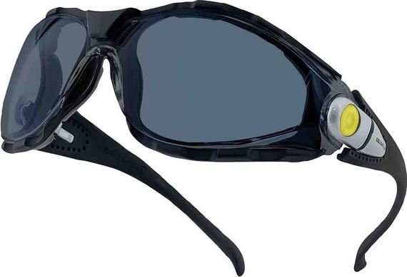 Открытые защитные очки Delta Plus PACAYA SMOKE LYVIZ PACAYLVFU