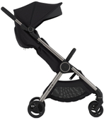 Детская коляска Anex iQ Premium NT 2 в 1 Darke