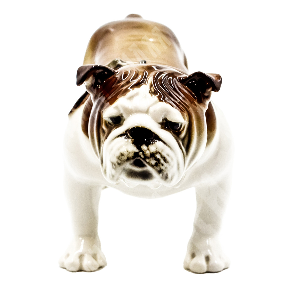 Фарфоровая статуэтка "Английский бульдог". Фарфор, аэрография, роспись. ЛФЗ, скульптор П. Веселов. 1