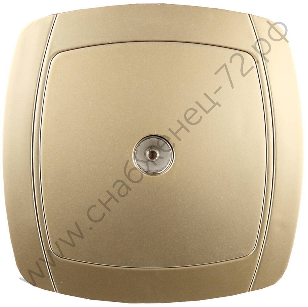 СВЕТОЗАР Акцент, телевизионная одинарная в сборе цвет золотой металлик, Электрическая розетка (SV-54215-GM)