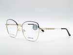 Изг. оправы DACCHi D31539 C1-1