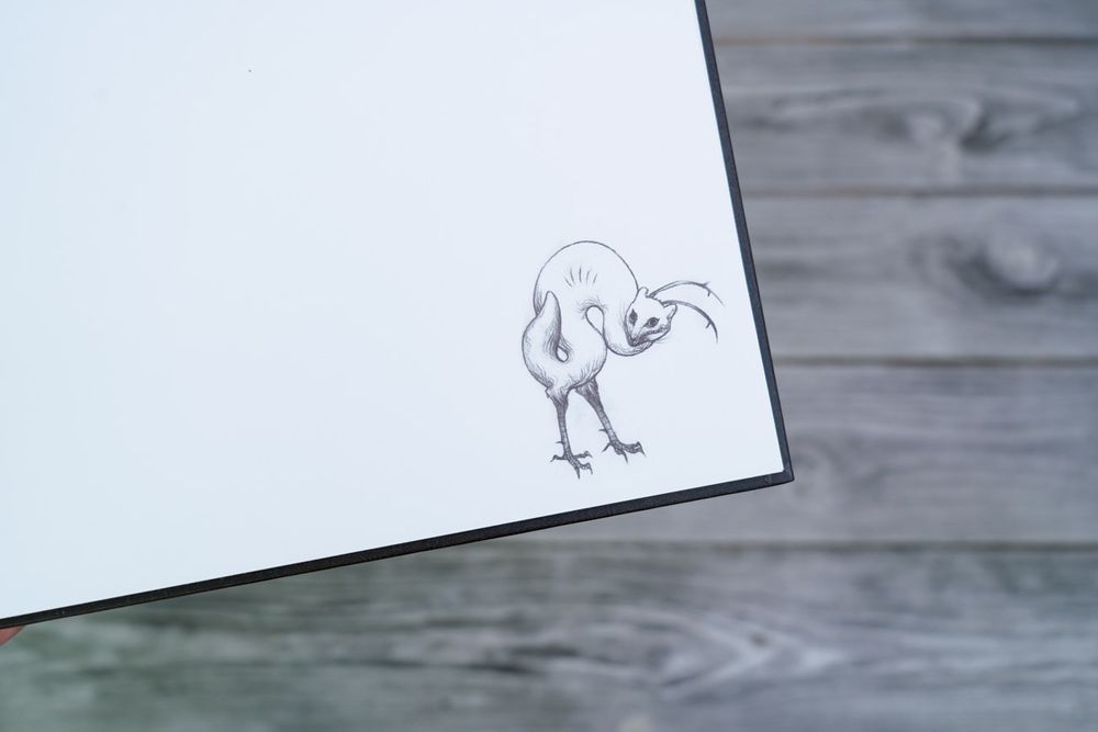 Скетчбук Икки