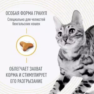 Корм для кошек бенгальской породы, Royal Canin Bengal, в возрасте от 1 года и старше