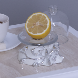 Лимонница Орхидея Лайм Белая