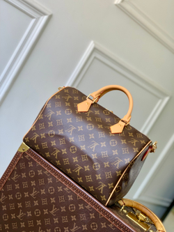 Louis Vuitton Speedy Soft 30