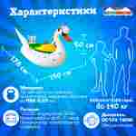 Электрическая бамперная лодка «Лебедь» XL, белая, взрослая на часовом механизме