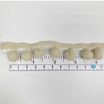 Тесьма с помпонами, цвет Бежевый