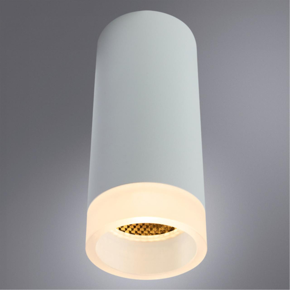 Накладной светильник Arte Lamp OGMA A5556PL-1WH