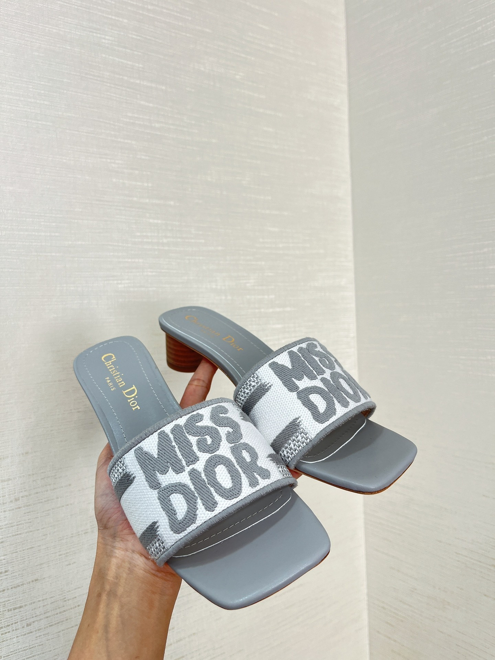 Christian Dior Dway Slide (11 colors)