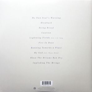 The Killers / Imploding The Mirage (LP)