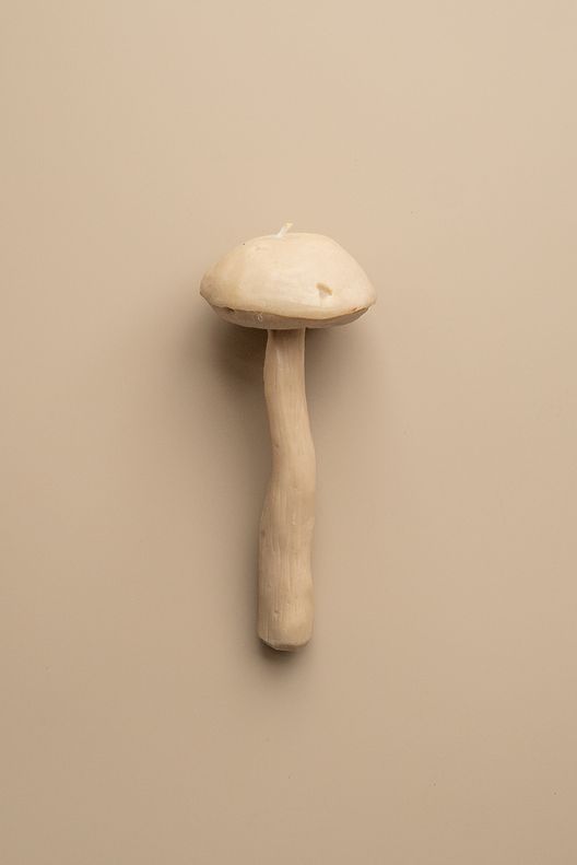 Свеча Гриб Подберезовик / Unification Love