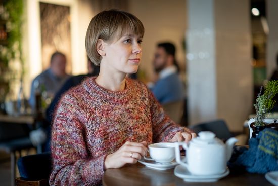 Свитер "Подснежник" (бесплатное описание)