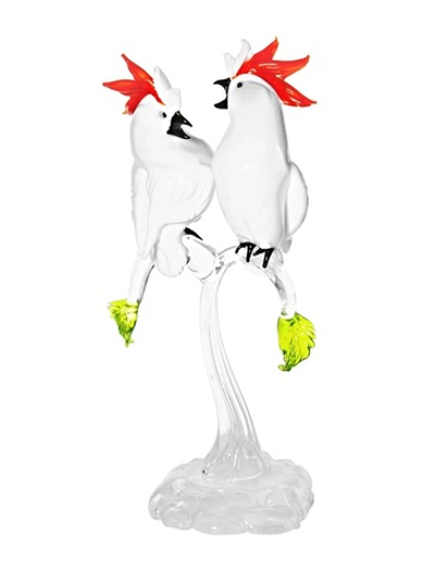 Пара Какаду Бьянко