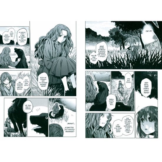 Манга Невеста чародея. Том 3