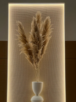 Пампасная трава сухоцвет