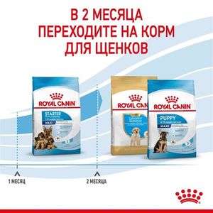 Корм для щенков крупных пород до 2-х месяцев и беременных сук, Royal Canin Maxi Starter Mother & Babydog