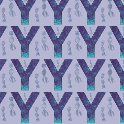 Игрек (синий на сером)