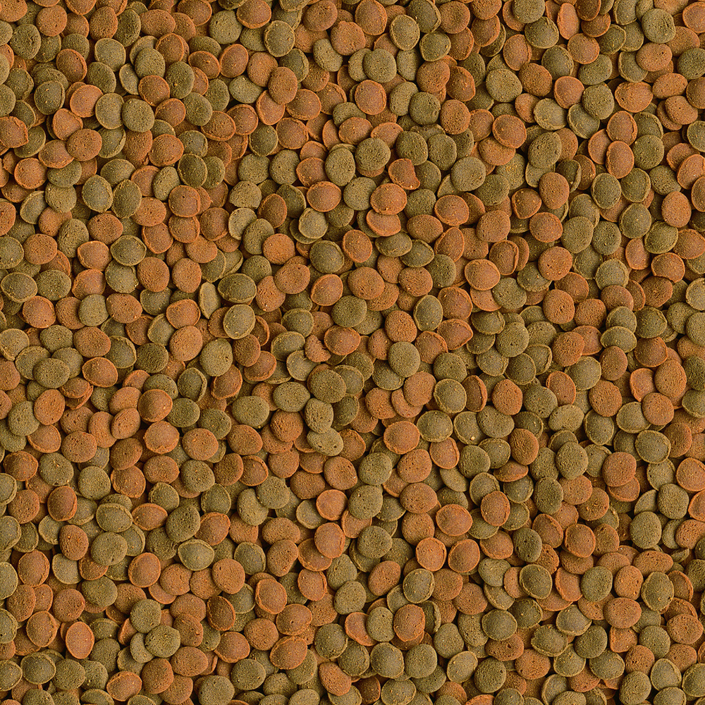 TetraWaferMix корм-чипсы для всех донных рыб 3,6 л