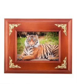 ПК- 45 Ключница «Тигр» мал. 25х21