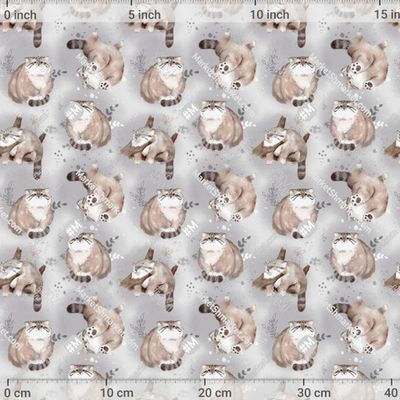 кот манул на сером фоне by E.KK8 455 DPI