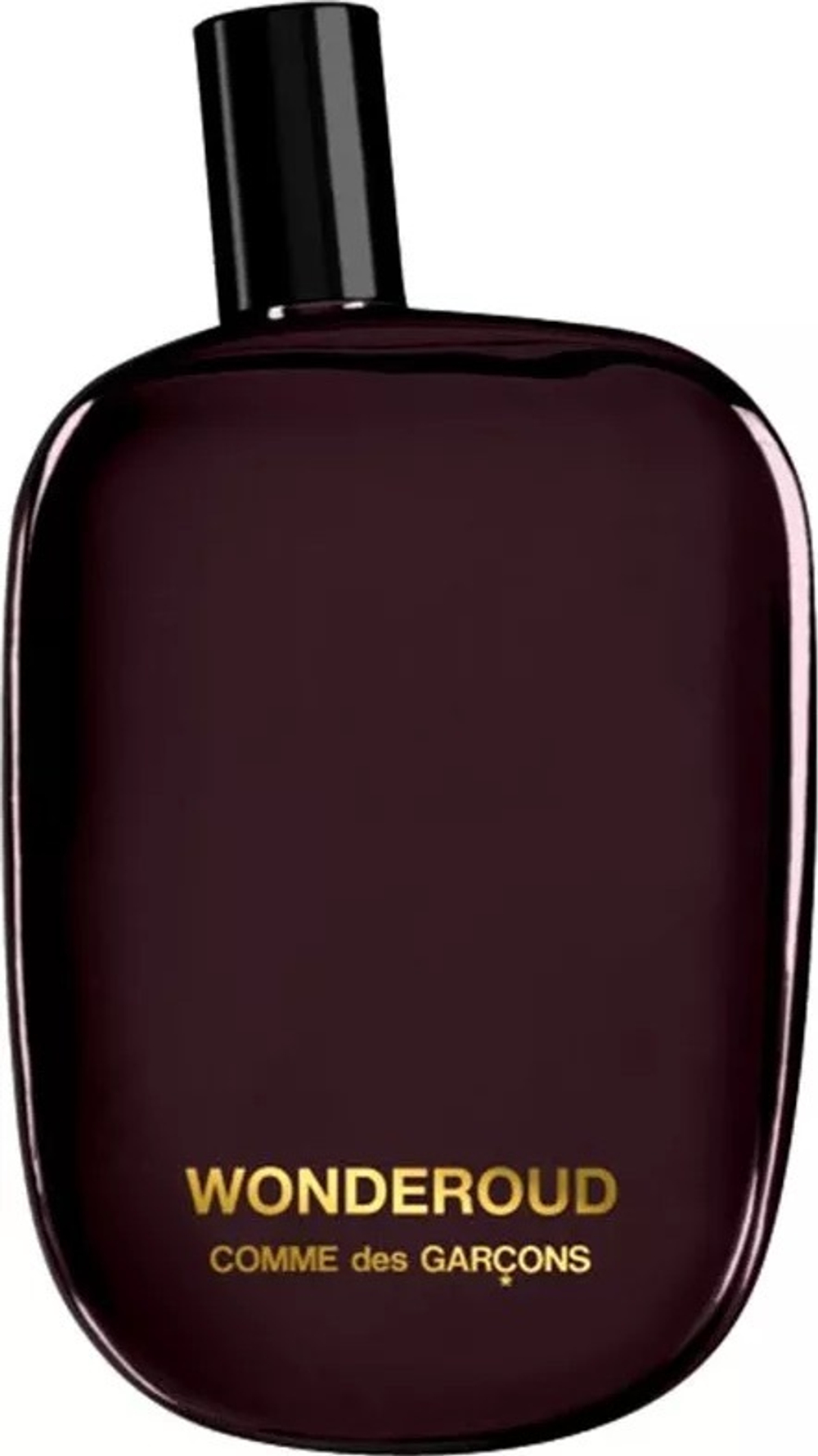 Comme Des Garcons Wonderoud