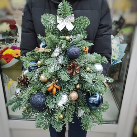 Ёлочка из нобилиса