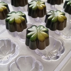 402 | Форма для шоколадных изделий (275*175 мм)