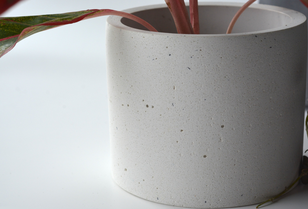 Кашпо Peperomia (под d10)