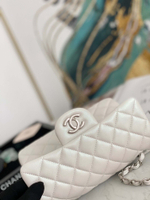 Chanel Flap 20 cm