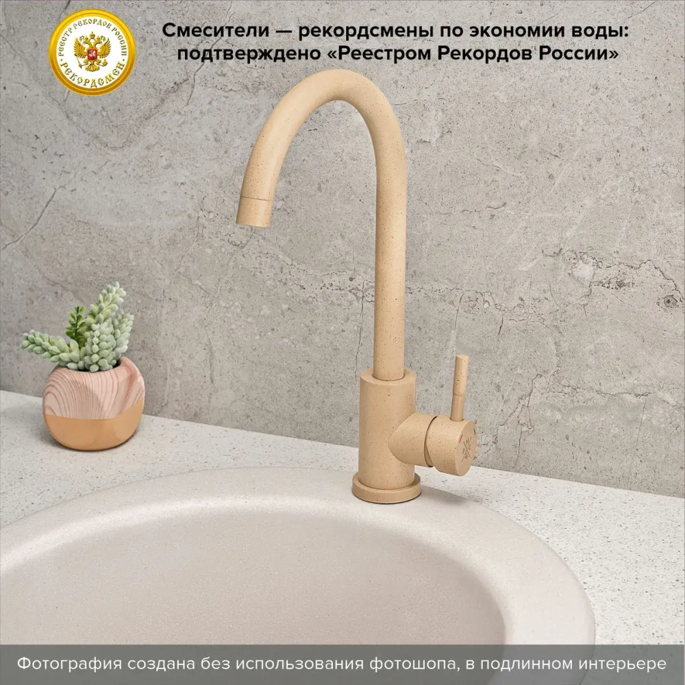 Смеситель для кухни SUS124BNK-017F