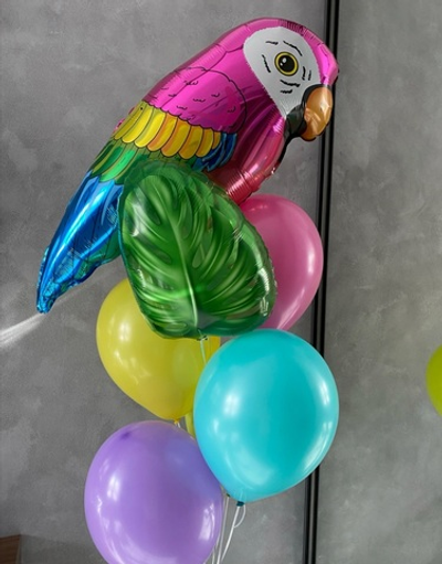 Набор шаров с Попугаем
