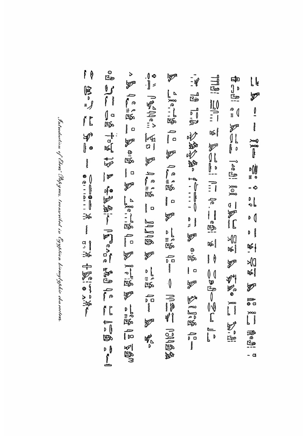 A history of dentistry. from the most ancient times until the end of the eighteenth century | Guerini Vincenzo