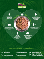 Сухой корм Monge Dog BWild GRAIN FREE, для взрослых собак, беззерновой, из лосося 2,5 кг