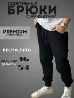 Штаны спортивные без начеса