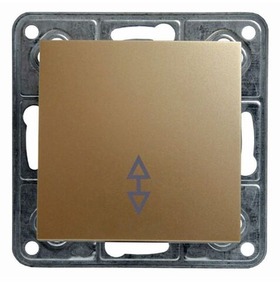 Переключатель 1-кл Profitec Tesla шампань