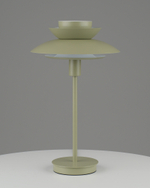 Лампа настольная Moderli V11296-1T Shaggy