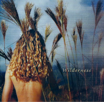 CD: Sophie B. Hawkins — « Wilderness» (2004)